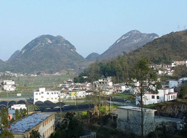 晴隆縣長流鄉人民政府案例