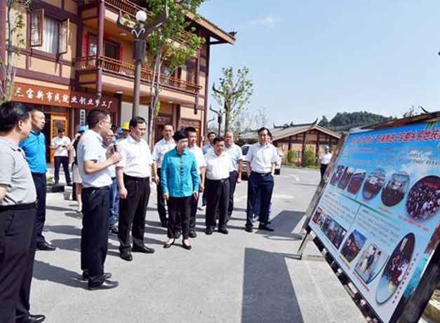 晴隆縣雞場鎮、三寶彝族政府案例